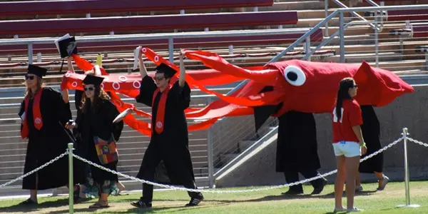 Giant Squid Costume--They Actually Did It