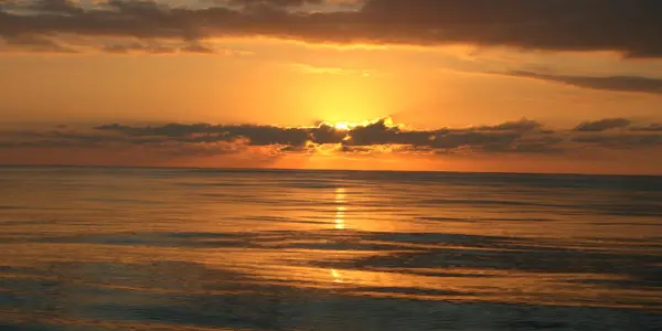 Sync Across Oceans - Light-Loving Microbes Act In Harmony Thousands Of Miles Apart