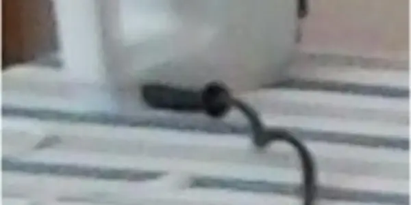 Technology Challenge: Identify This Mystery Steampunk Object