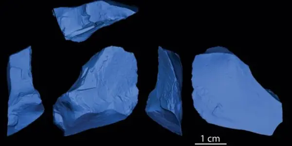 Not Wimpy: Humans Braved The Northern Cold As Well As Neanderthals