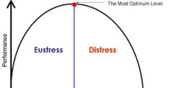 Stress Up The Stress