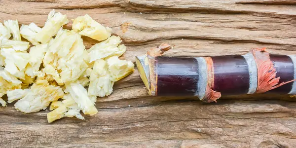 Sugar – The Food Nobody Needs, But Everyone Craves