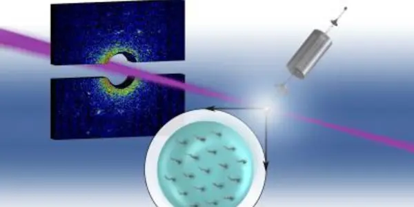 Quantum Inside Cold Helium Nanodroplets Mapped