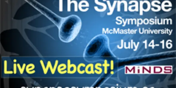 Getting Fired Up About Synapses