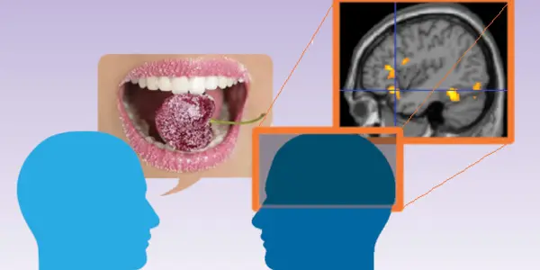 We Like The Sweet Talk: Taste Metaphors Emotionally Engage Us