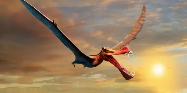 Thapunngaka Shawi: The Fearsome Beast Of Wanamara Discovered