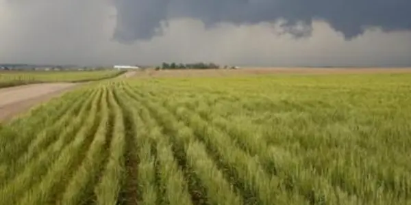 Climate Change May Slow Down The Agriculture Boom