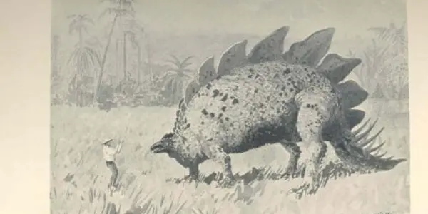 Fact Or Fiction - Did Dinosaurs Survive Cretaceous Extinction Event?