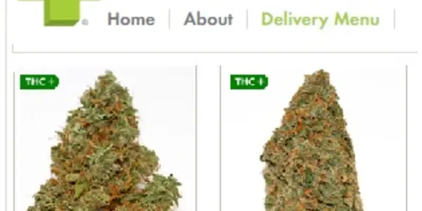 When They Go Low, We Get High: What 50+ Years of Marijuana Research Tells Us