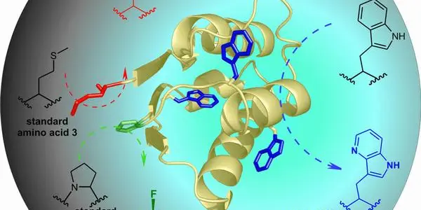 Genetic Code 2.0 - 3 Synthetic Amino Acids Combined Into One Protein