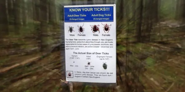 Lyme Disease Is Not A Military Bioweapon