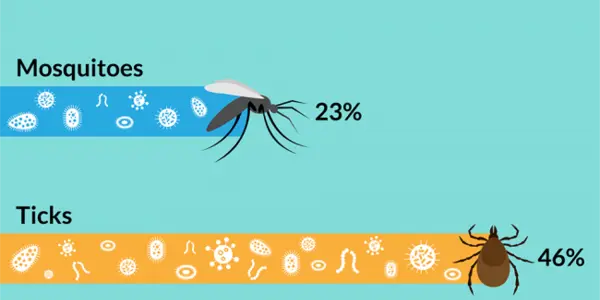 Mosquito Diseases Kill Tens Of Millions Per Year Worldwide But American Parents Worry More About Ticks
