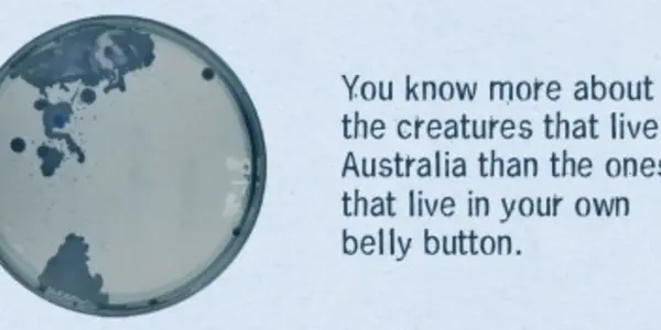 Belly Button Biology