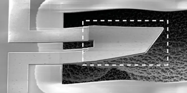 Quantum Entanglement In The Visible Universe