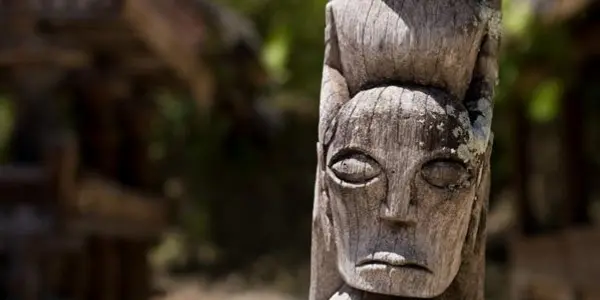 Prosocial Behavior And The Need For Moral High Gods - What Birds And Linguistics Tell Us