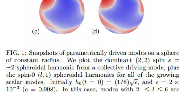 Please Fasten Your Hypothetical Seatbelts, Black Hole Gravity Is About To Get Conjecturally Bumpy