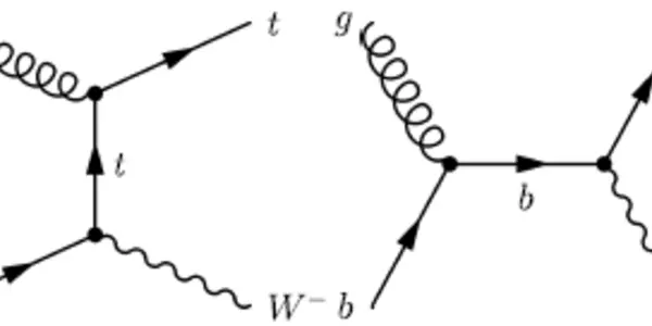 Single Top: tW Production Observed by CMS!