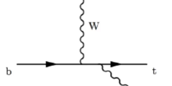 CMS Observes Associated Production Of Top Quarks And Z Bosons