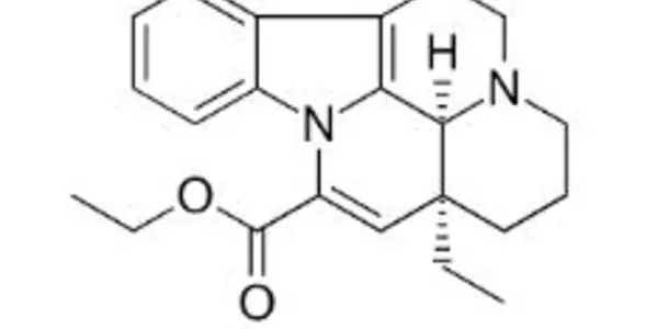 Women Of Childbearing Age, Stop Taking Supplements Containing Vinpocetine