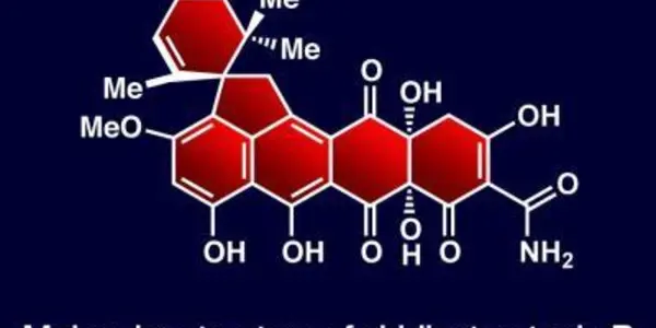 New Synthesized Fungus-Derived Antibiotic