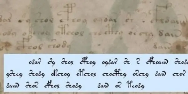 The Voynich Manuscript : An Enigma, Part #1