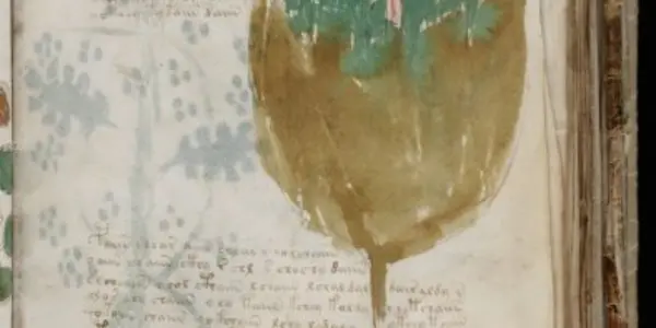 The Voynich Manuscript Unzipped