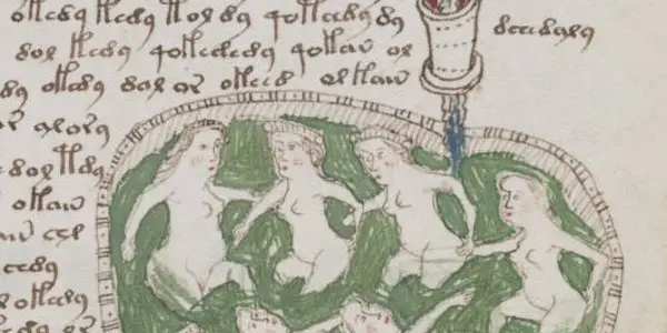 Patterns of Latin in the Voynich Manuscript