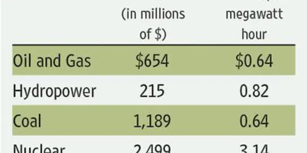 Green Energy CEO Predicts Demise Of His Competition