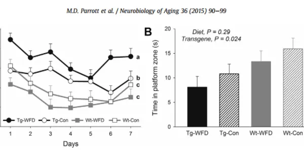 Whole Food Diet Linked To Greater Cognitive Dysfunction In Alzheimer’s