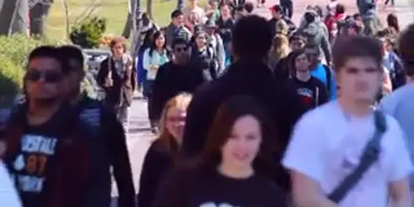 Science Of The Swarm: Crowdsourcing Crowd Behavior