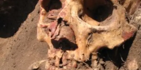 Skin Color, Lactose Tolerance: Mapping Population Changes In Bronze Age Eurasia