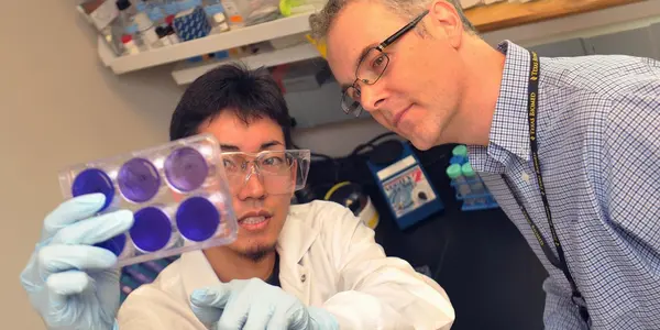 This Asian Herb Could Hold The Secret To Treating Ebola
