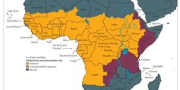 What Caused Angola's First Yellow Fever Outbreak In Three Decades