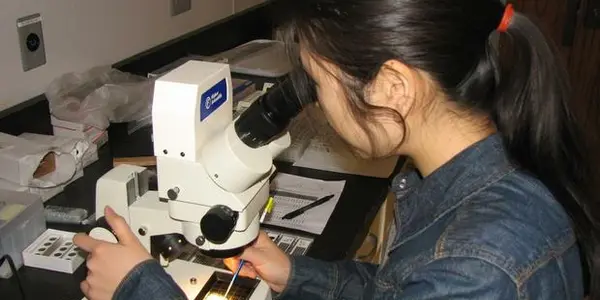 Warm Oceans Had Less Oxygen, Show Microfossils