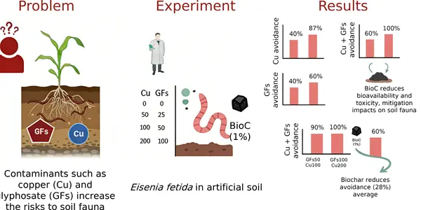 Biochar X:  Helping Earthworms Navigate Organic Copper Sulfate Contamination
