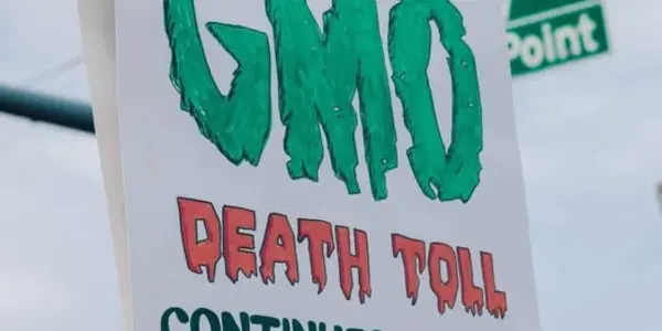 GMO Science Has Greens On The Run