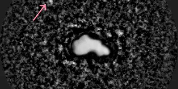 44 Nysa - An Asteroid Now With Its Own Moon - article teaser image