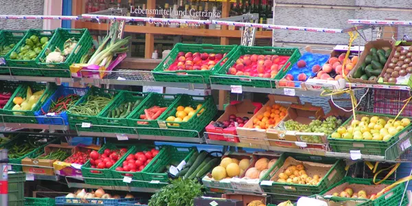 Synthetic Ingredients Government Allows Inside Certified Organic Food - article teaser image