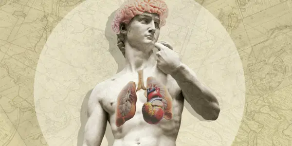 Are You Your Brain Or Your Body?