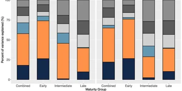 Major Genetic Weakness For Hybrid Breeding Revealed