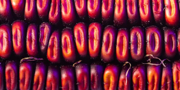 The Corny Idea To Replace Food Coloring