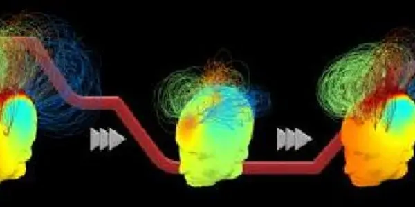 Your Brain Is Still Analog