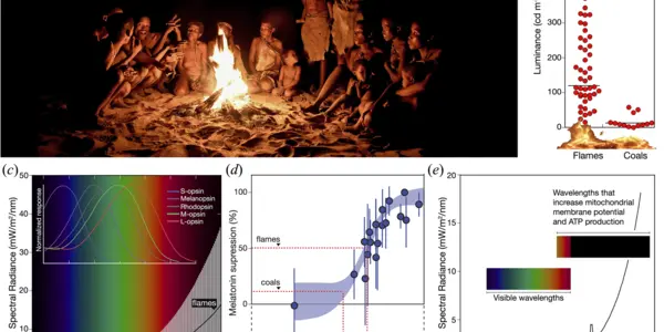 If You Like Stories, Thank The Inventors Of Fire
