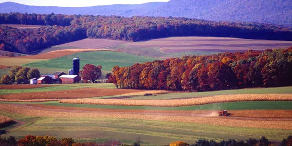 Six Reasons Organic Is NOT The Most Environmentally Friendly Way To Farm