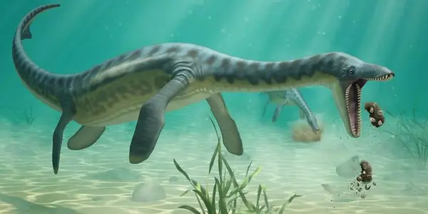 Jurassic Puke: Plesiosaurs Knew Not To Vomit Where They Eat