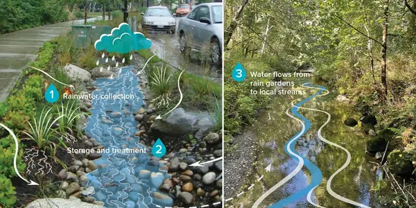 Rain Gardens: Placement Matters More Than Square Footage