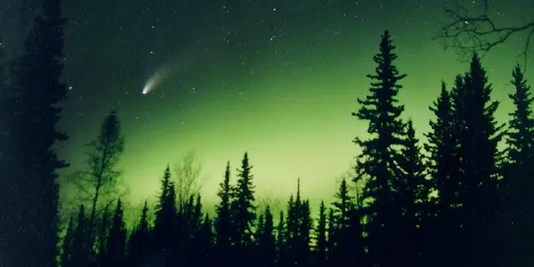 Create Light Pollution Awareness And See Some Stars - The Great World Wide Star Count