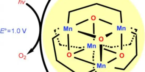 Manganese Catalyst May Boost Efficient Hydrogen Production
