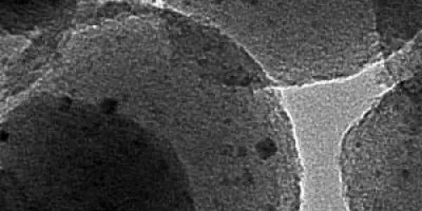 Nanoscale Catalysts Could Turn Garbage Into Cheap Source Of Ethanol