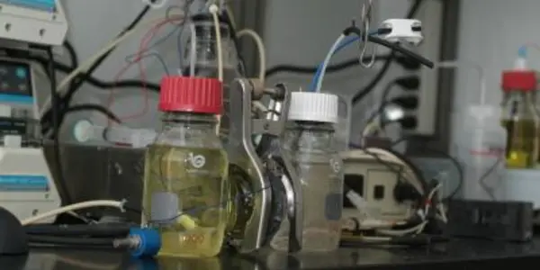 Making Electricity From Bacteria - Progress Toward A Microbial Fuel Cell Made From Sewage